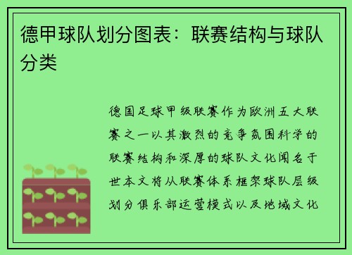 德甲球队划分图表：联赛结构与球队分类